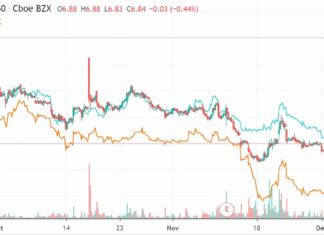 Marijuana Stock Review