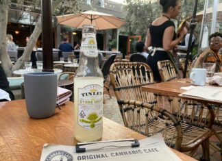 Tinley Beverage, Stone Daisy, Marijuana Stock Review